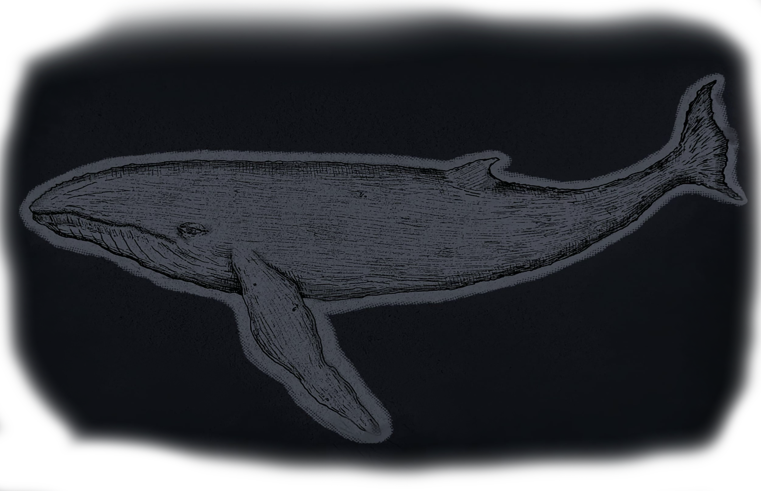 The Whale's Keeper cover design by Sylvie Parzybok